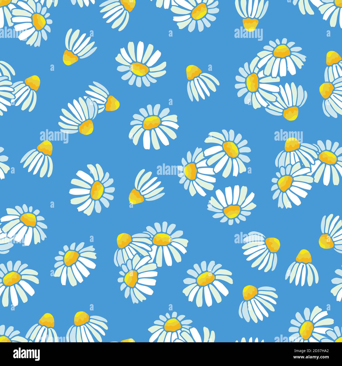 Chamomile, daisy vector pattern. Floral seamless texture Stock Vector