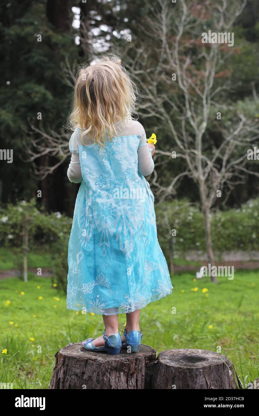 A little girl in a blue dress standing on a tree stump holding a flower ...