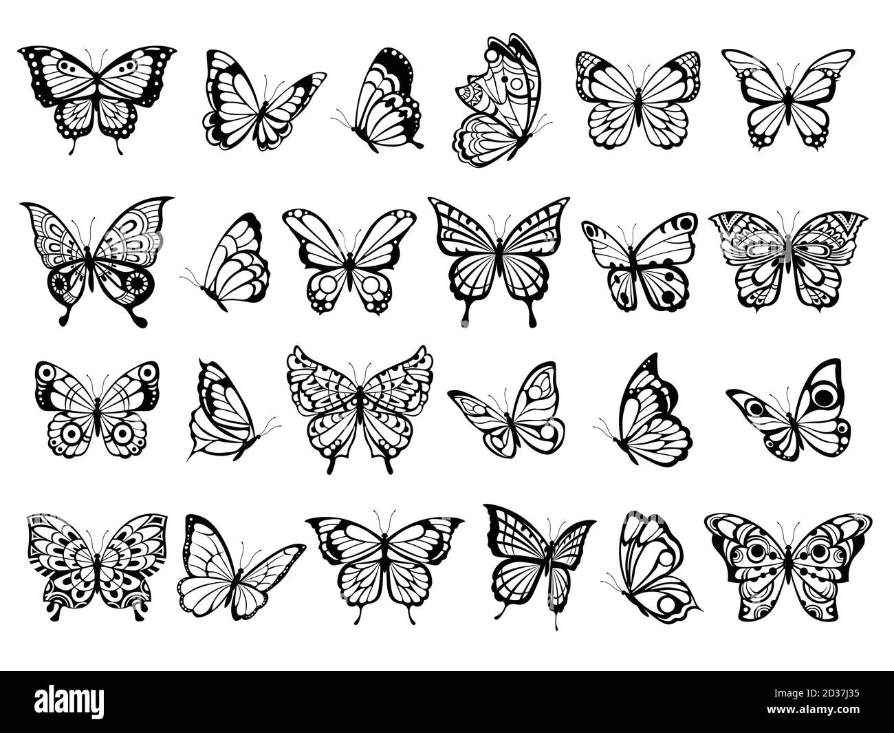Butterfly collection. Beautiful nature flying insect drawing, exotic black butterflies with funny wings vector pictures Stock Vector