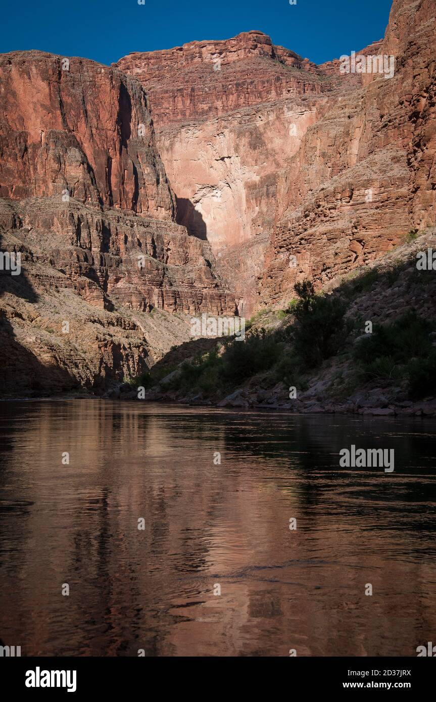 The Colorado River runs through the Grand Canyon Stock Photo - Alamy