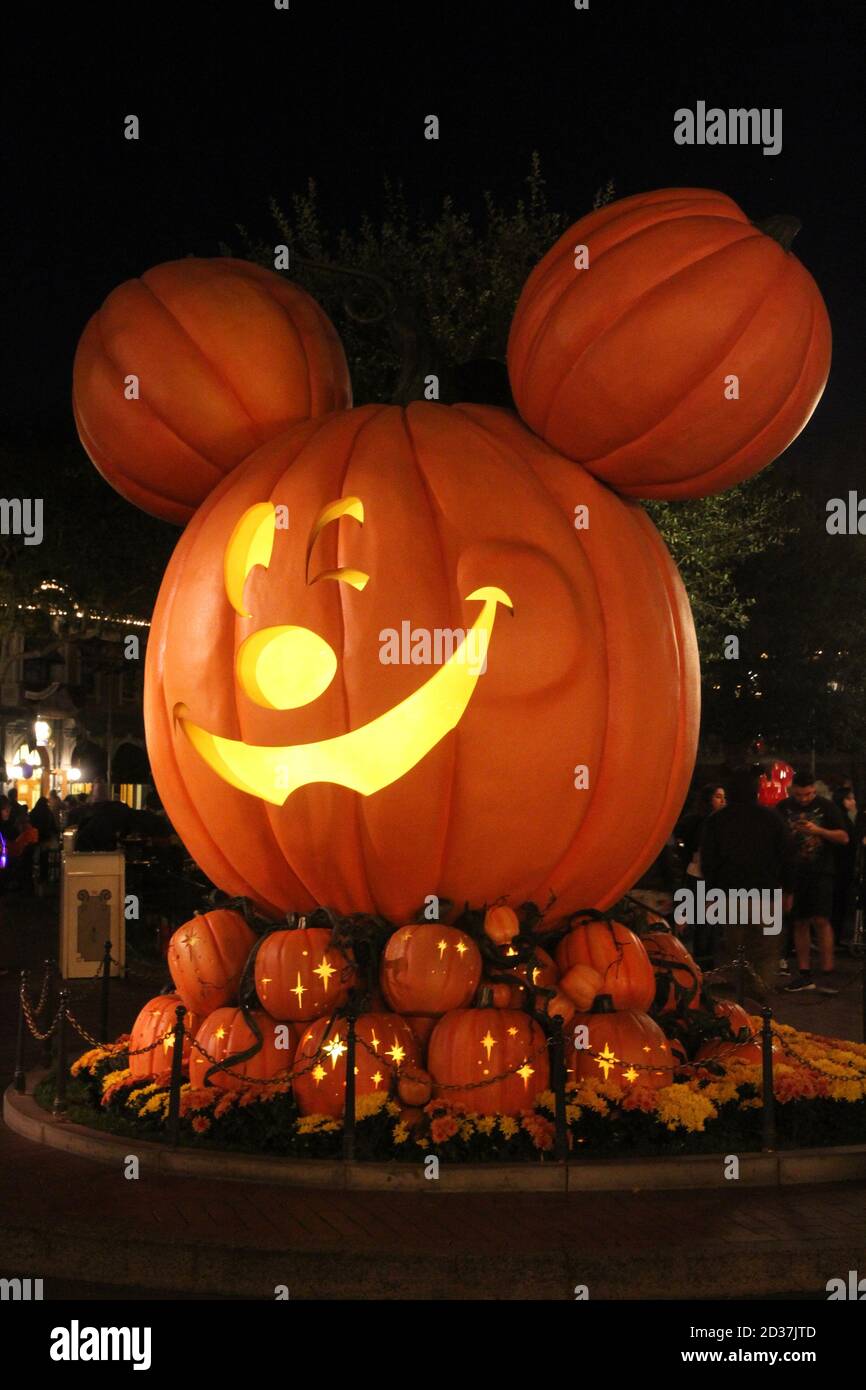 Mickey Mouse shaped pumpkin display at Disneyland California Stock Photo