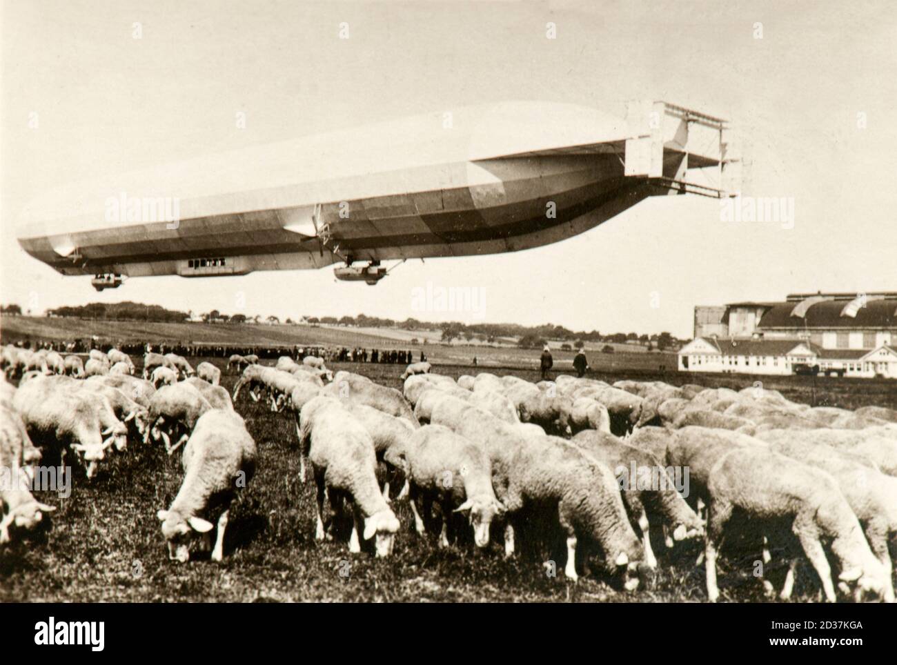 Zeppelin LZ8 'Deutschland II' flying over a flock of sheep in Schwaben, Germany, 1911 Stock Photo