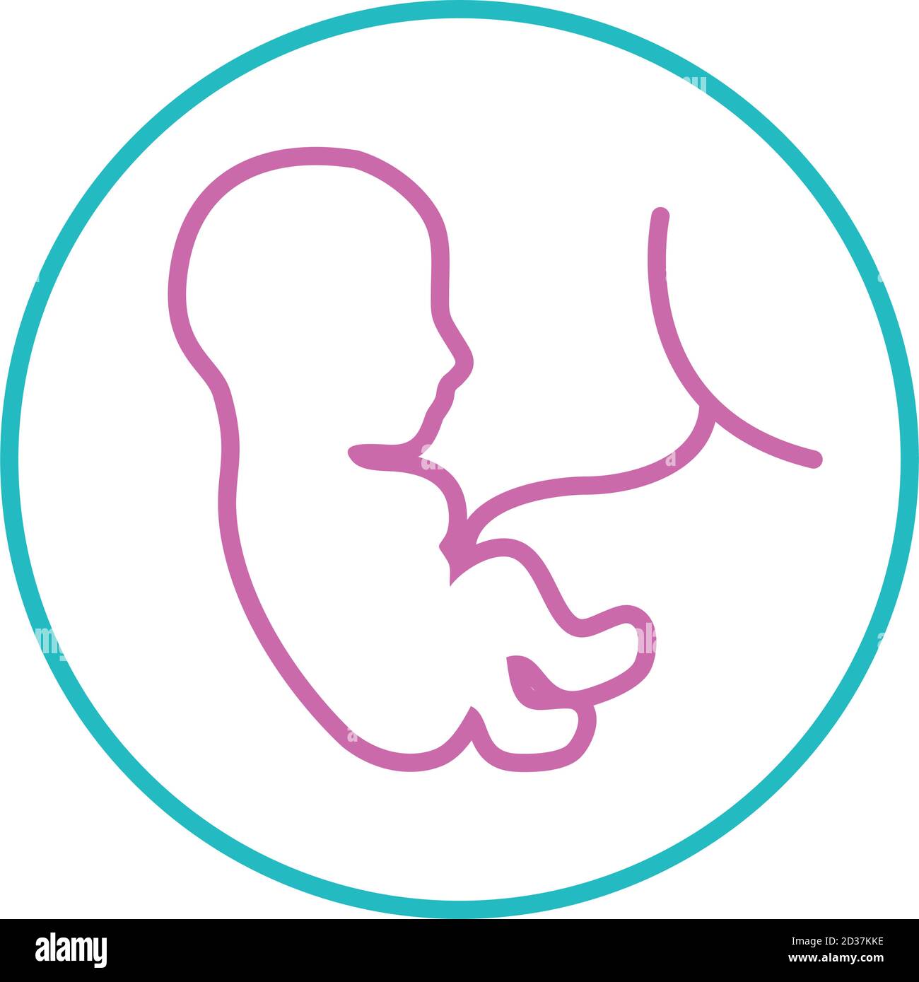 Womb Baby Drawing High Resolution Stock Photography And Images Alamy