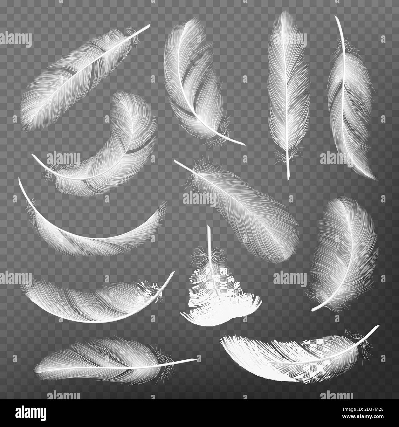 Feathers realistic. Plumage detailing lightness and airiness swan vector collections Stock Vector
