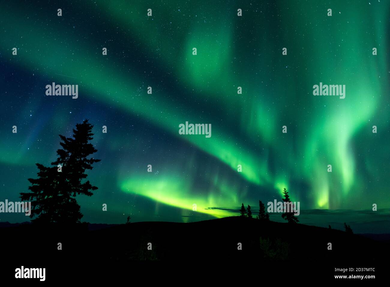 Northern lights on the starry sky at night in Yukon, Canada Stock Photo ...