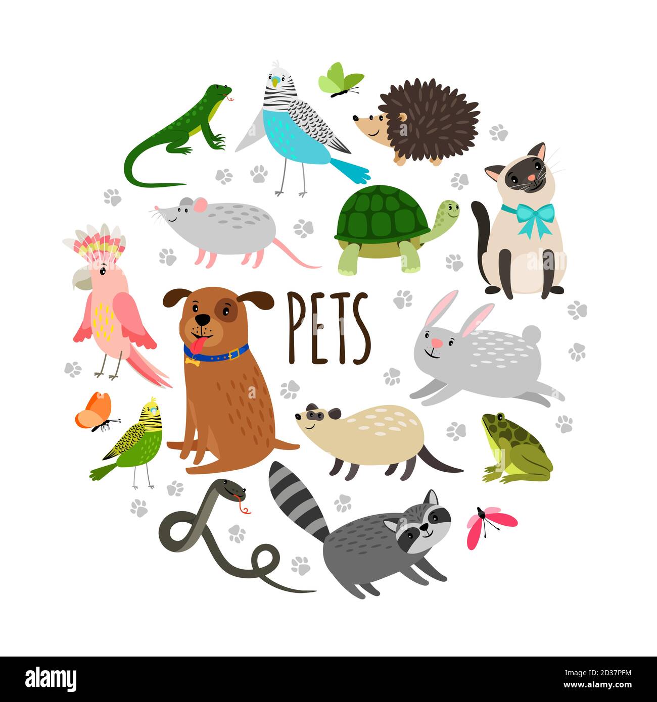 Popular pets round banner design. Vector cartoon animals isolated on white  background. Illustration of pet animals, dog and hedgehog, parrot and  raccoon Stock Vector Image & Art - Alamy