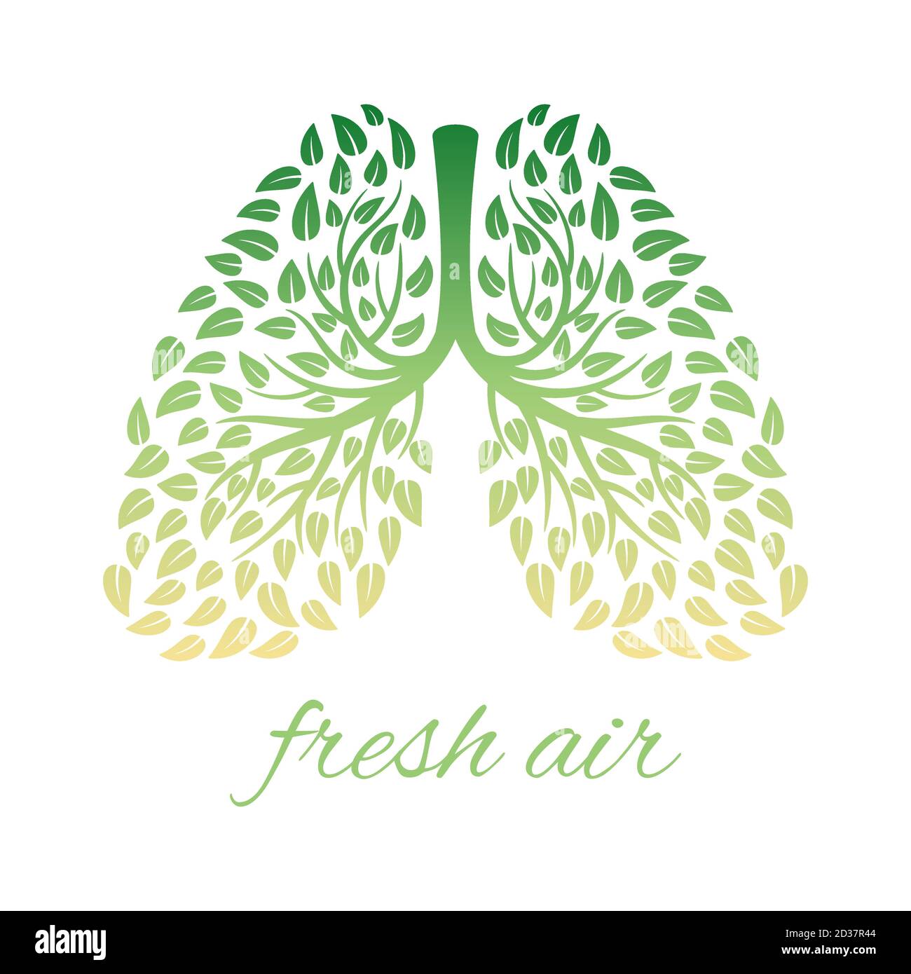 Lungs with foliage. Healthy human lungs with leaves vector concept Stock Vector