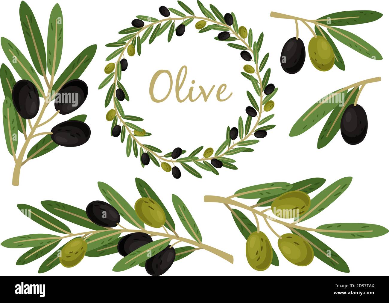 Olives branches and olive crown. Greek olives branch and wreath set