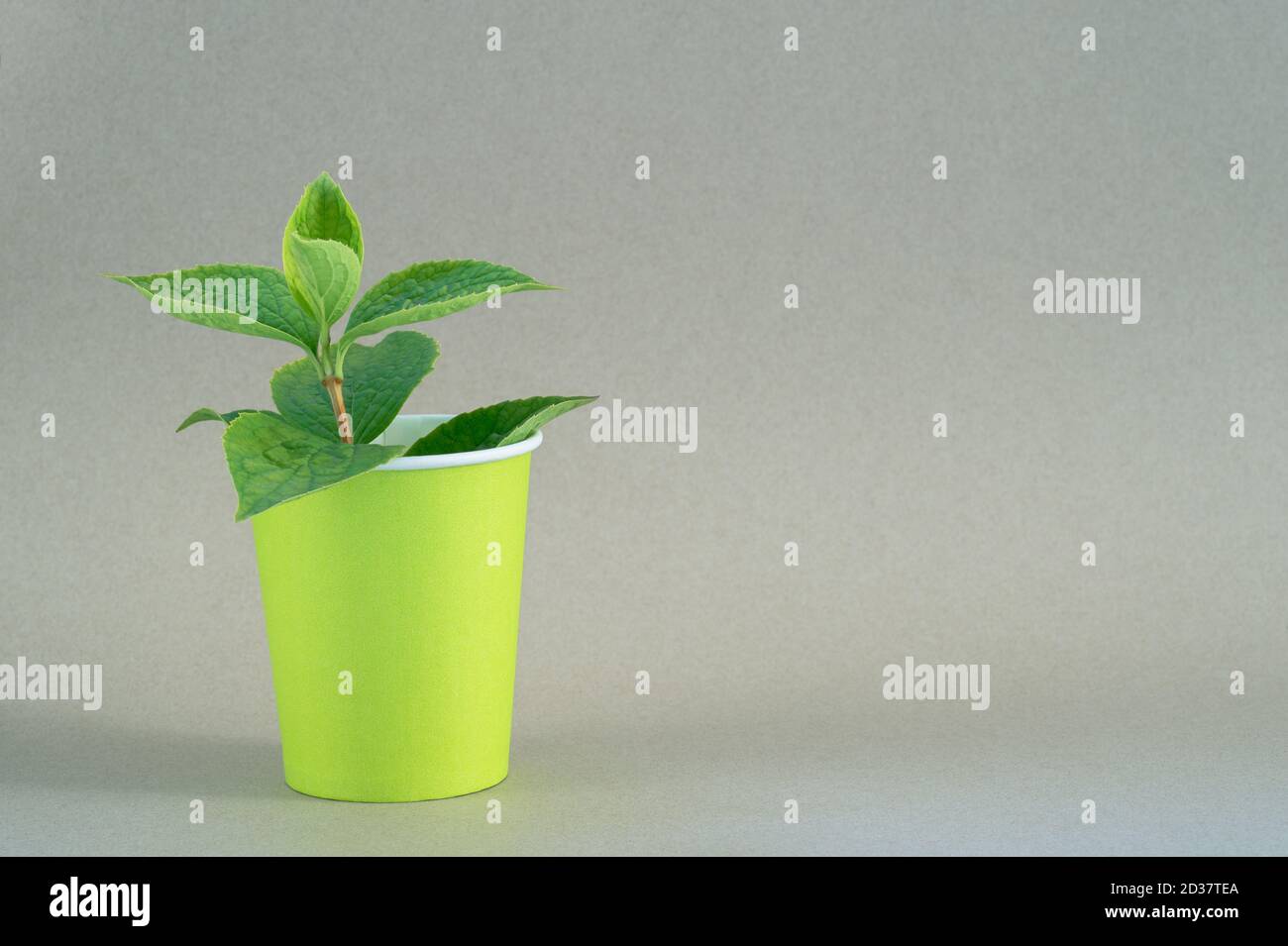 Paper cup production hi-res stock photography and images - Alamy