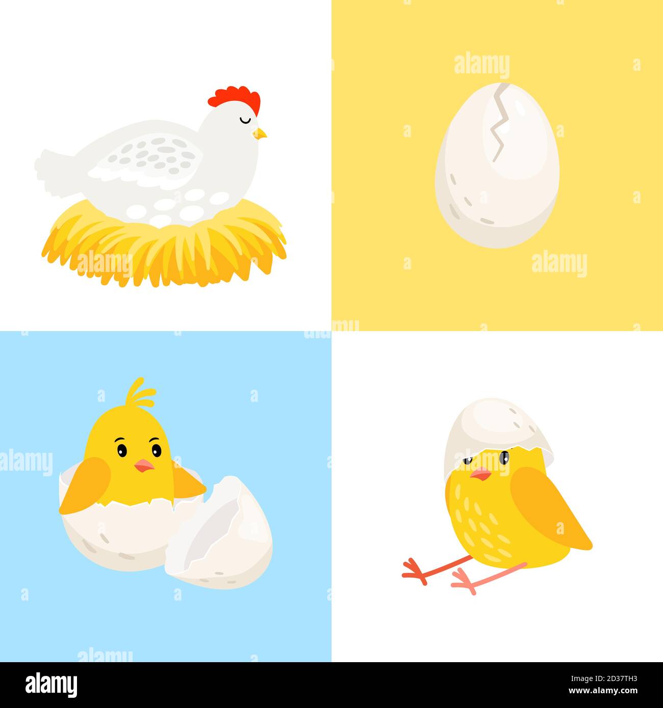 Hen and chick. Cartoon laying hen in nest, egg icon and hatched chick ...