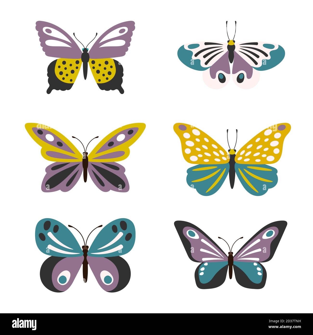 Illustration of cute vector butterflies set isolated on white ...
