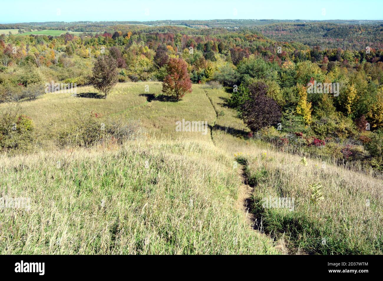 The Bruce Trail hiking path leading up to a lookout through a clearing ...