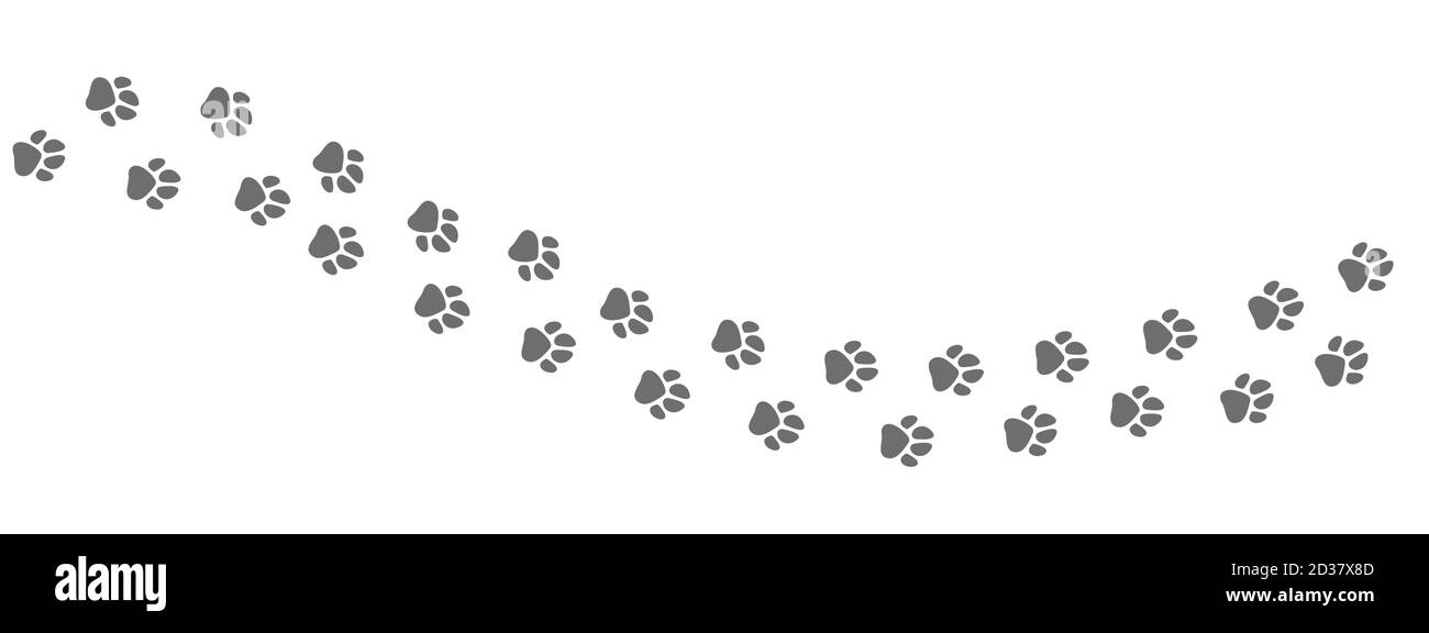 Footpath trail of animal. Dog or cat paws print vector isolated on white background. Trail footpath wildlife, footprint silhouette illustration Stock Vector