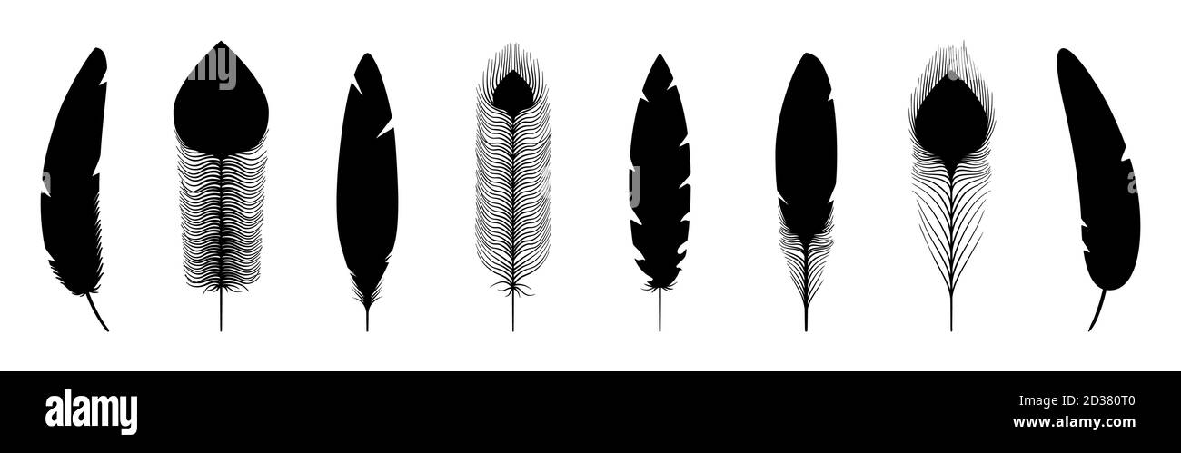 Black feathers silhouettes. Vector feathers icons isolated on white ...
