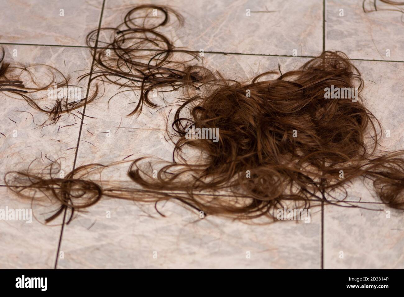 Extraordinary Hair On The Floor Gallery