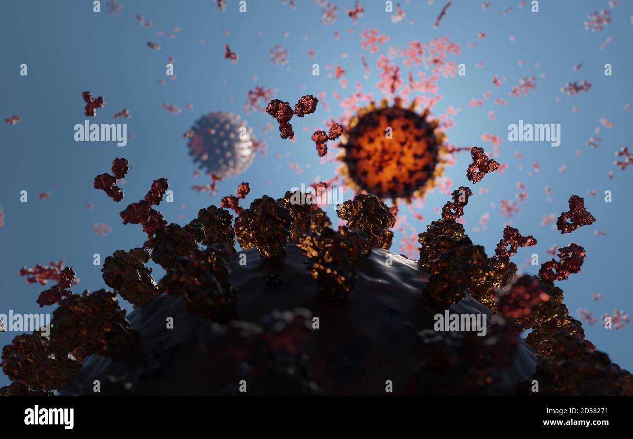 Human antibodies (igG and igM) attacking a Corona virus (SARS-CoV-2, Covid 19). An accurate model based on scientific structural data from the PDB. Stock Photo