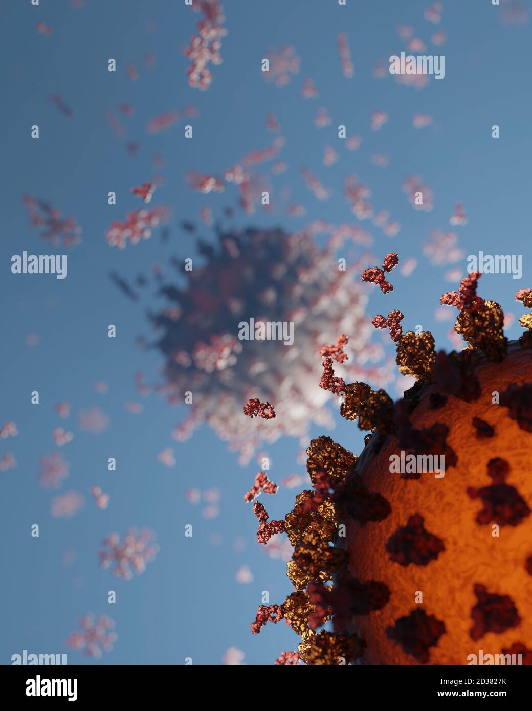 Human antibodies (igG and igM) attacking a Corona virus (SARS-CoV-2, Covid 19). An accurate model based on scientific structural data from the PDB. Stock Photo