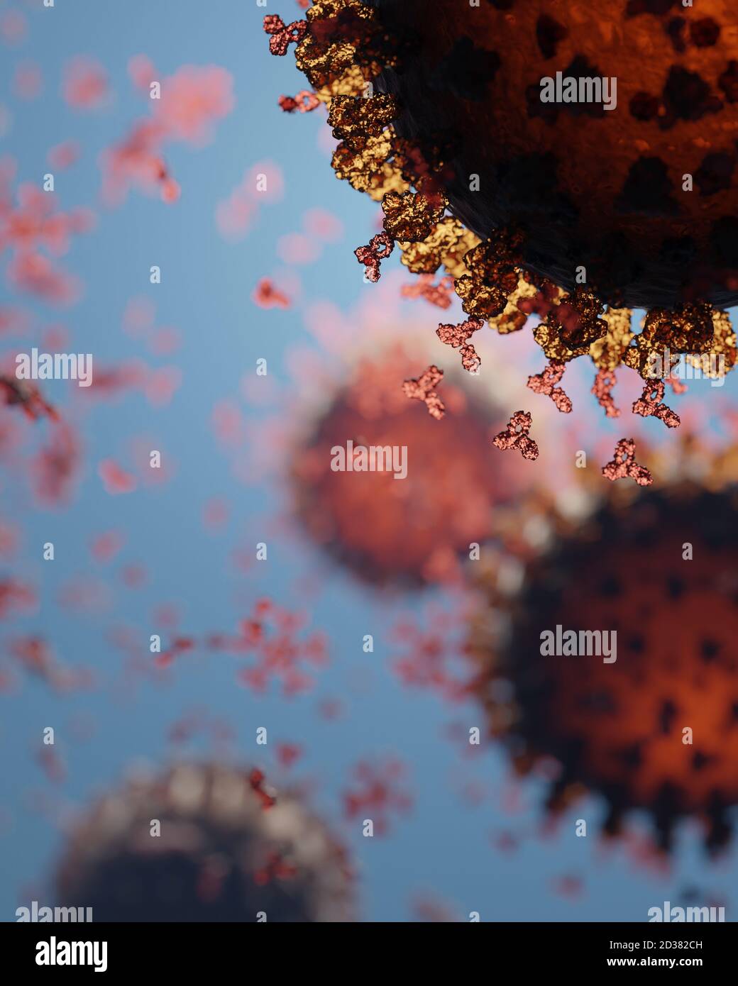 Antibody structure hi-res stock photography and images - Alamy