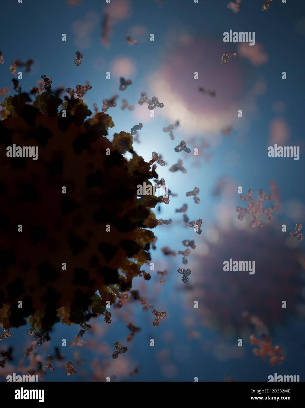 Cluster of human antibodies (igG and igM) attacking a Corona virus (Covid 19). An accurate model based on scientific structural data from the PDB. Stock Photo