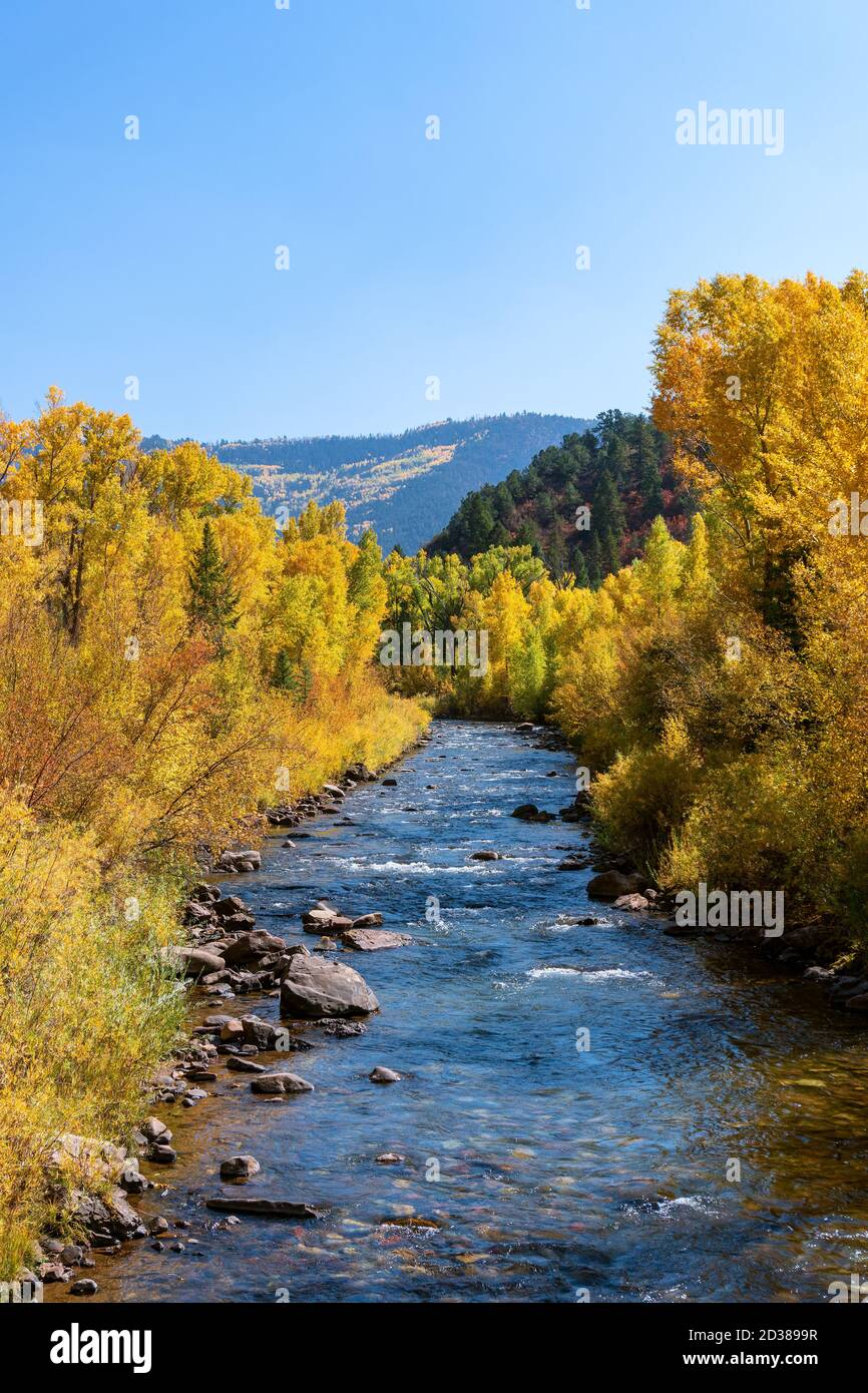 Fall colors along the San Miguel River in Telluride, Colorado, USA. Stock Photo