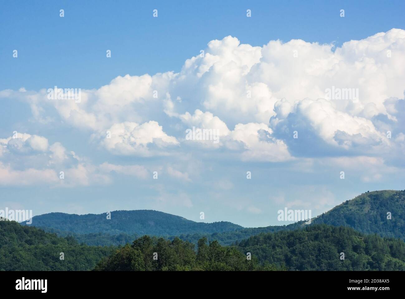 landscape forest hill and beautiful white clouds on blue sky Stock ...
