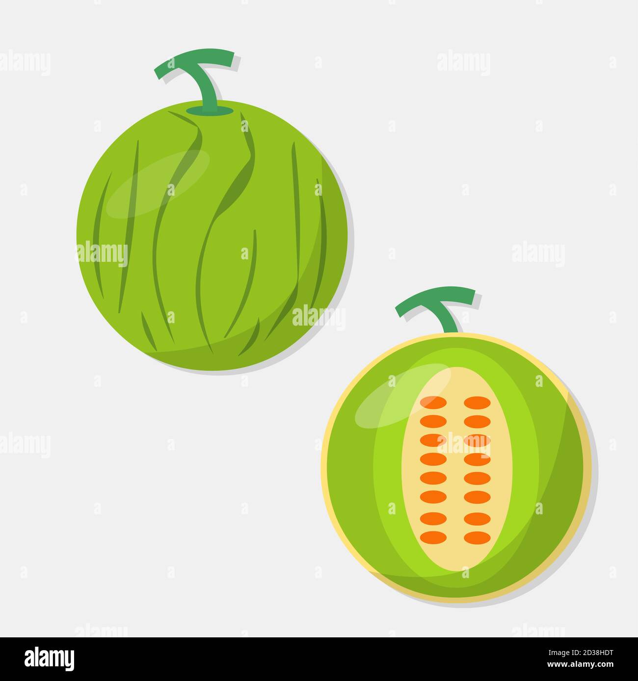 melon fruit vector illustration in flat style Stock Vector Image & Art