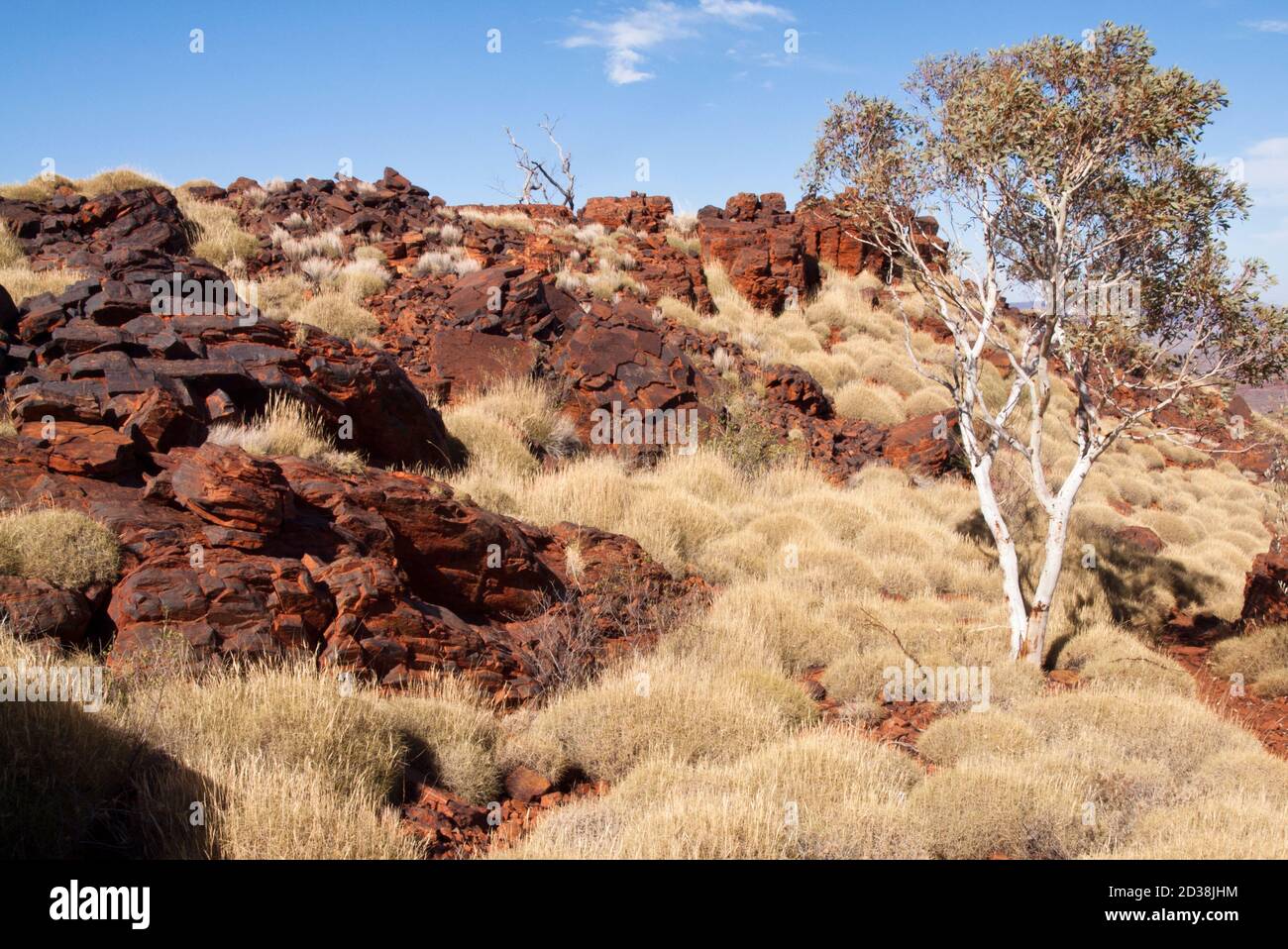 Spinifex, ironstone and ghost gum, Mt Bruce (Punurrunha), Karijini National Park, Western Australia Stock Photo