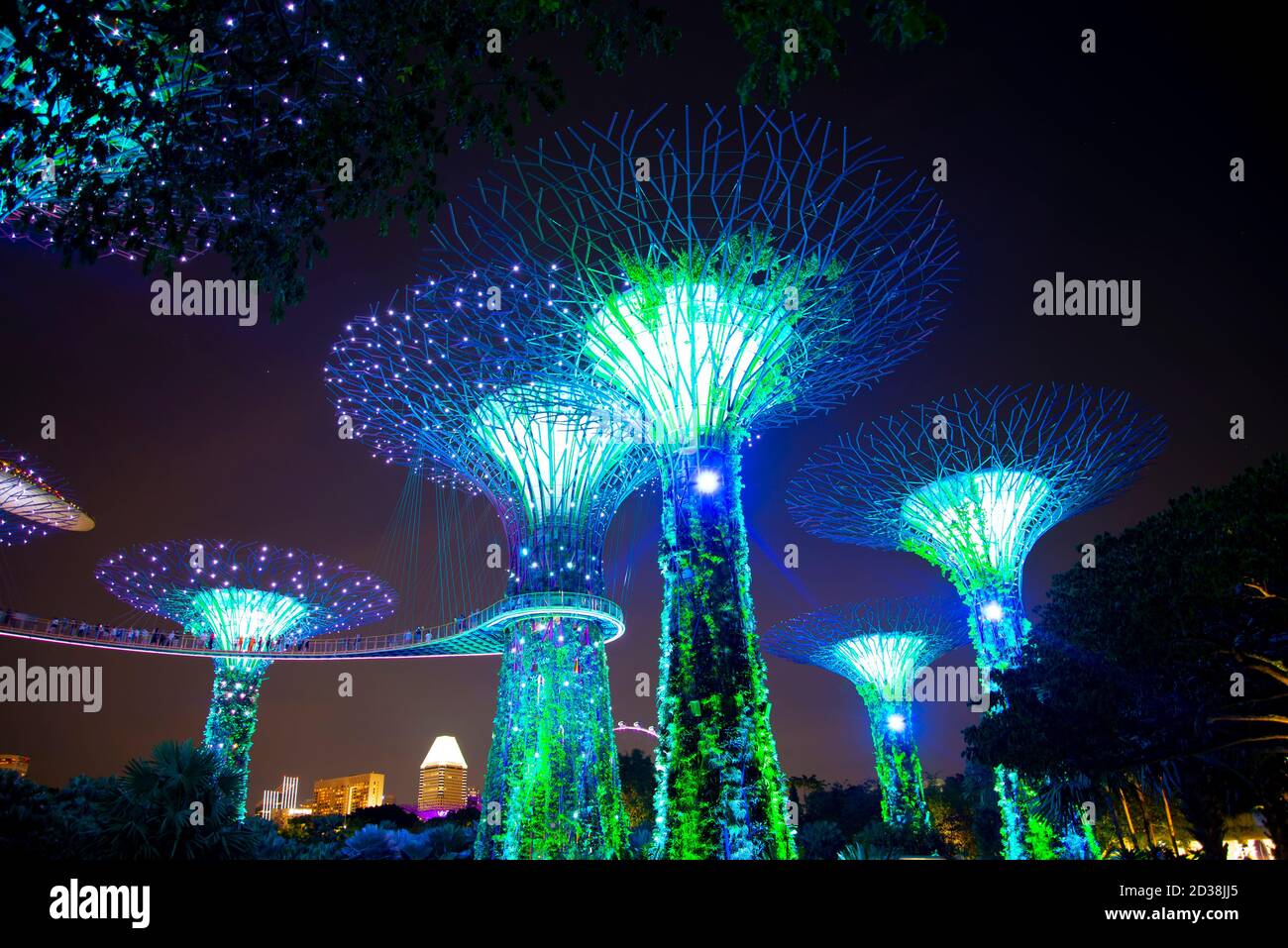 Singapore gardens bay evening hi-res stock photography and images - Alamy