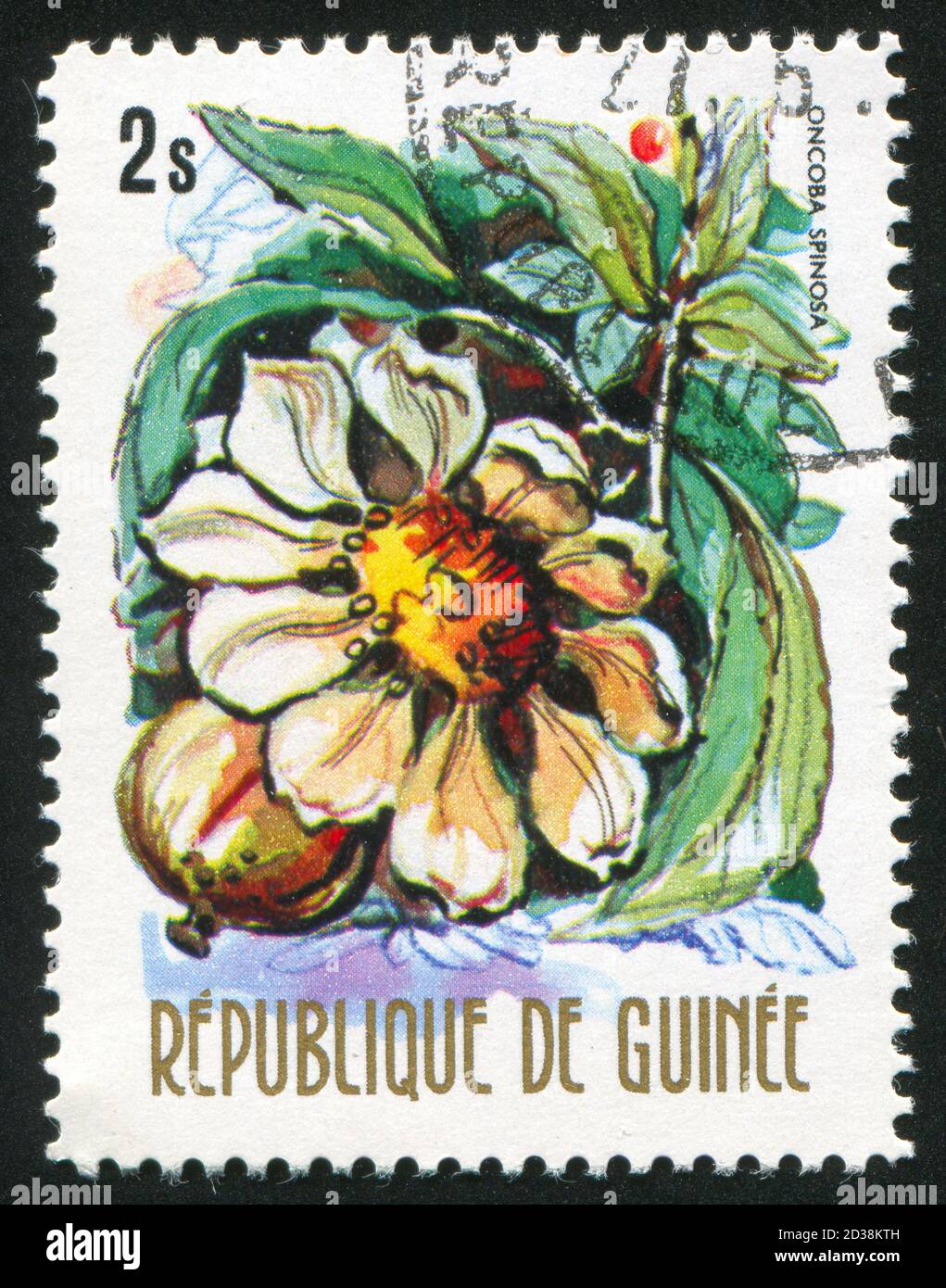 GUINEA - CIRCA 1974:   stamp printed by Guinea,  shows Oncoba spinosa, circa 1974. Stock Photo