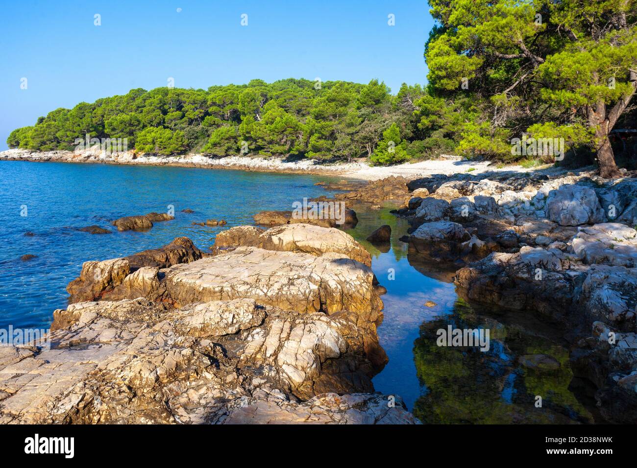 The natural beach Zlatni rt (Golden Cape) in Rovinj town, Croatia Stock  Photo - Alamy