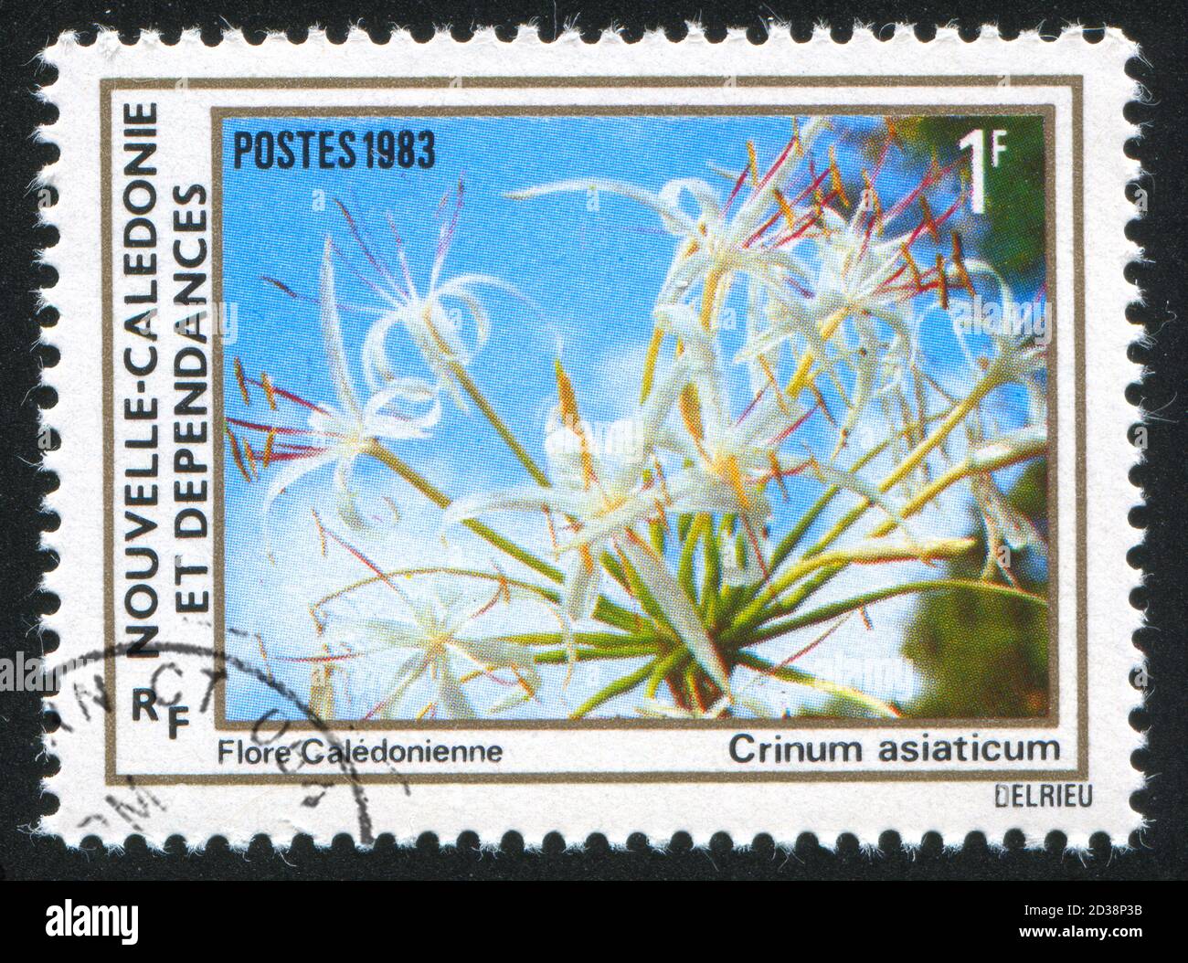 NEW CALEDONIA - CIRCA 1983: stamp printed by New Caledonia, shows Poison Bulb, circa 1983 Stock Photo