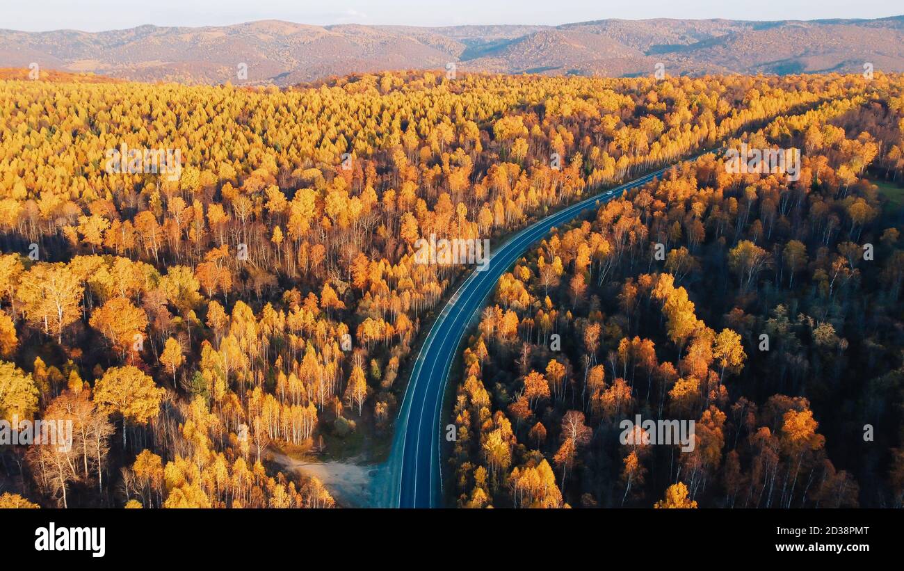 Aerial photo autumn trees hi-res stock photography and images - Alamy