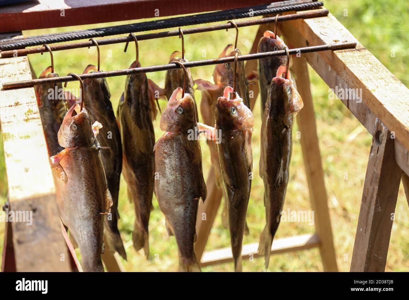 Fish smoking process hires stock photography and images Alamy