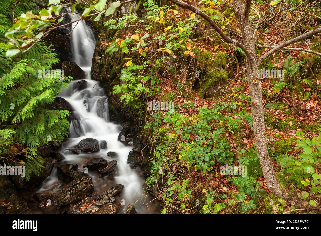 Waterfall at Llyn Crafnant, Snowdonia, North Wales Stock Photo