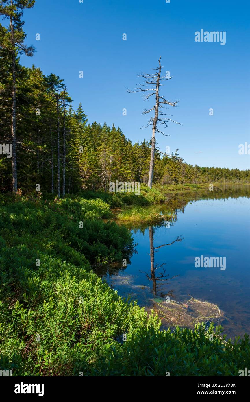 Fundy -  Finland