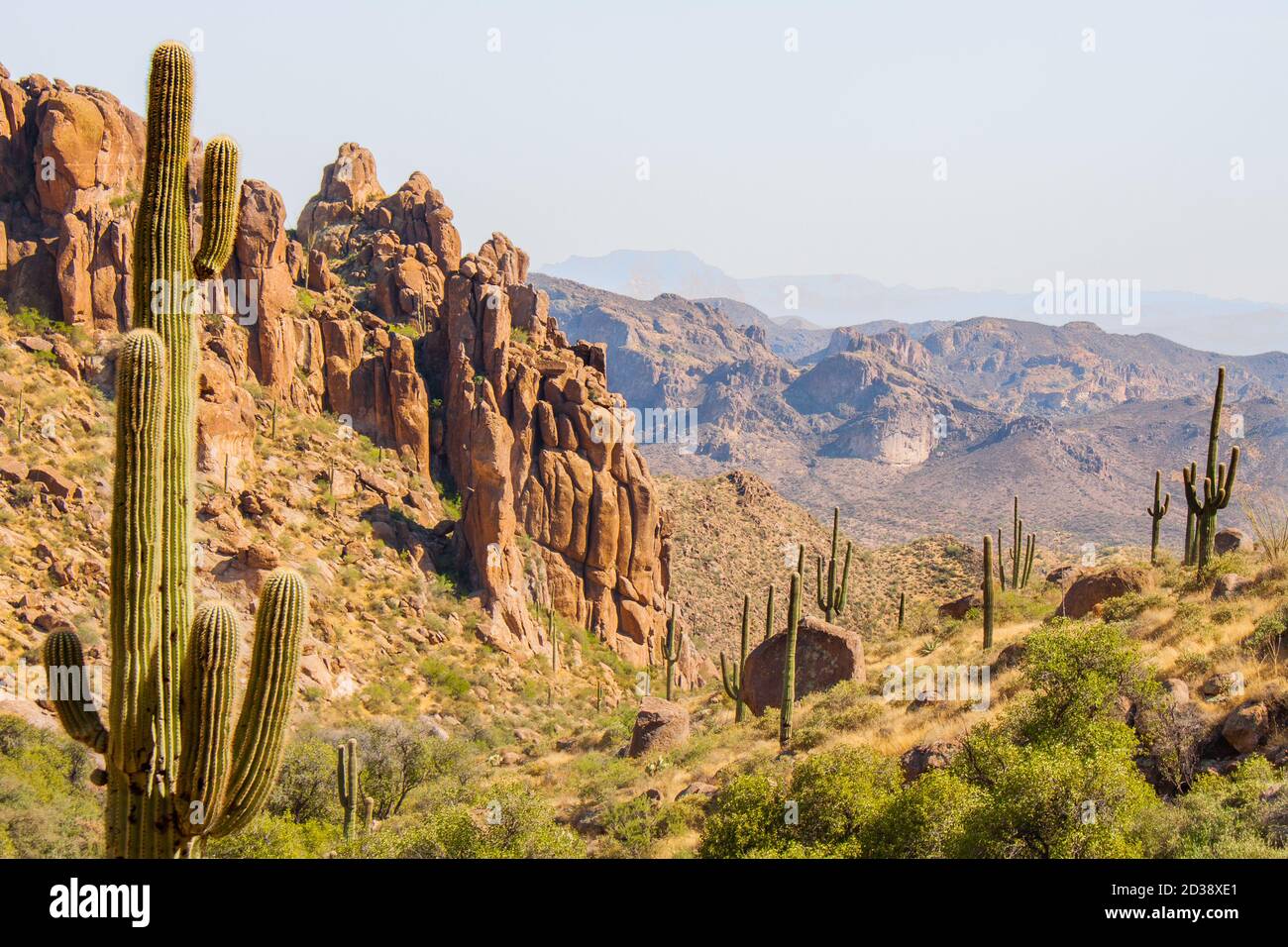 Desert ecosystem hi-res stock photography and images - Alamy