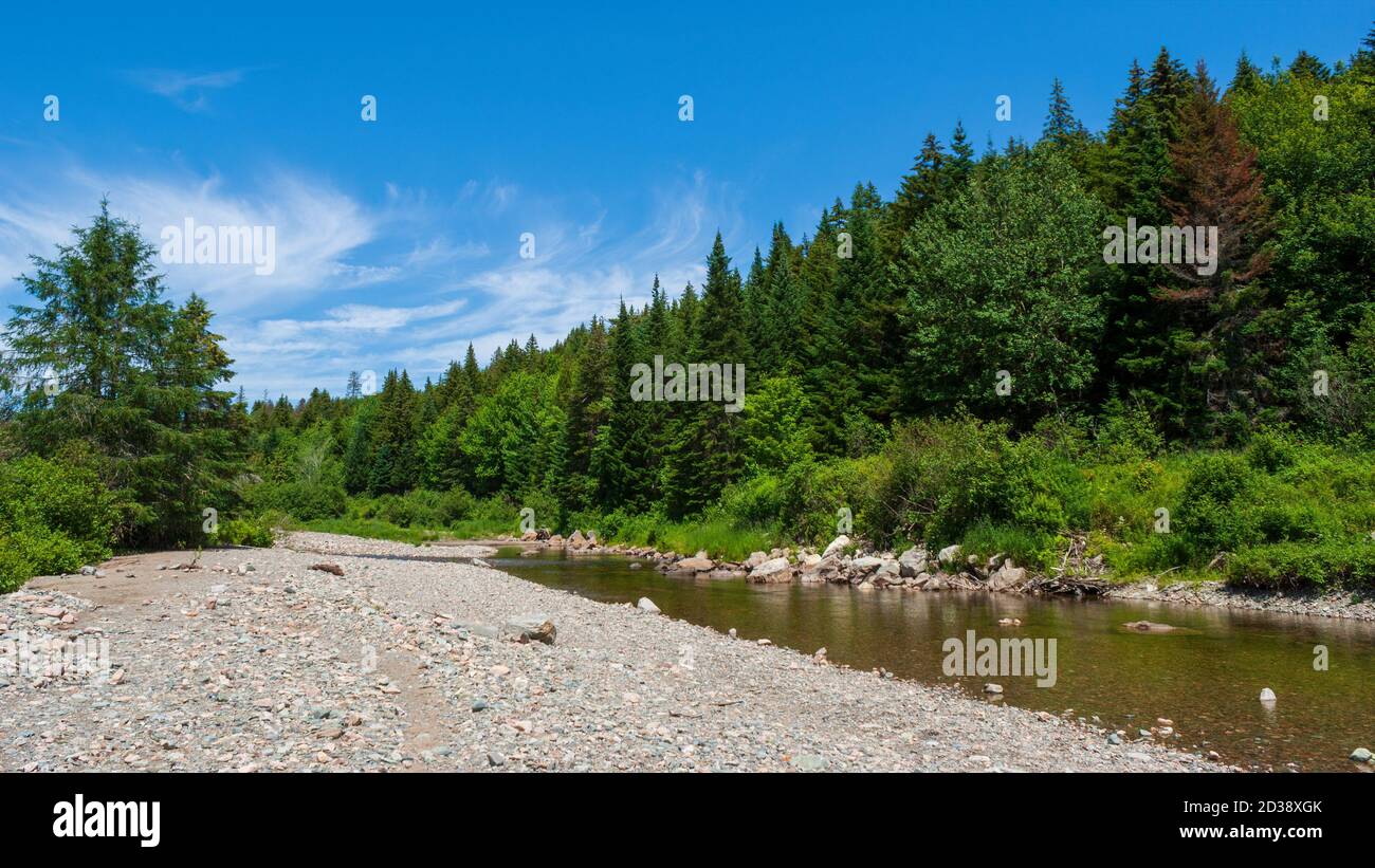 Broad River along the Moosehorn Trail. Calm creek flowing through an Acadian forest with red spruce trees. Fundy National Park, New Brunswick, Canada. Stock Photo