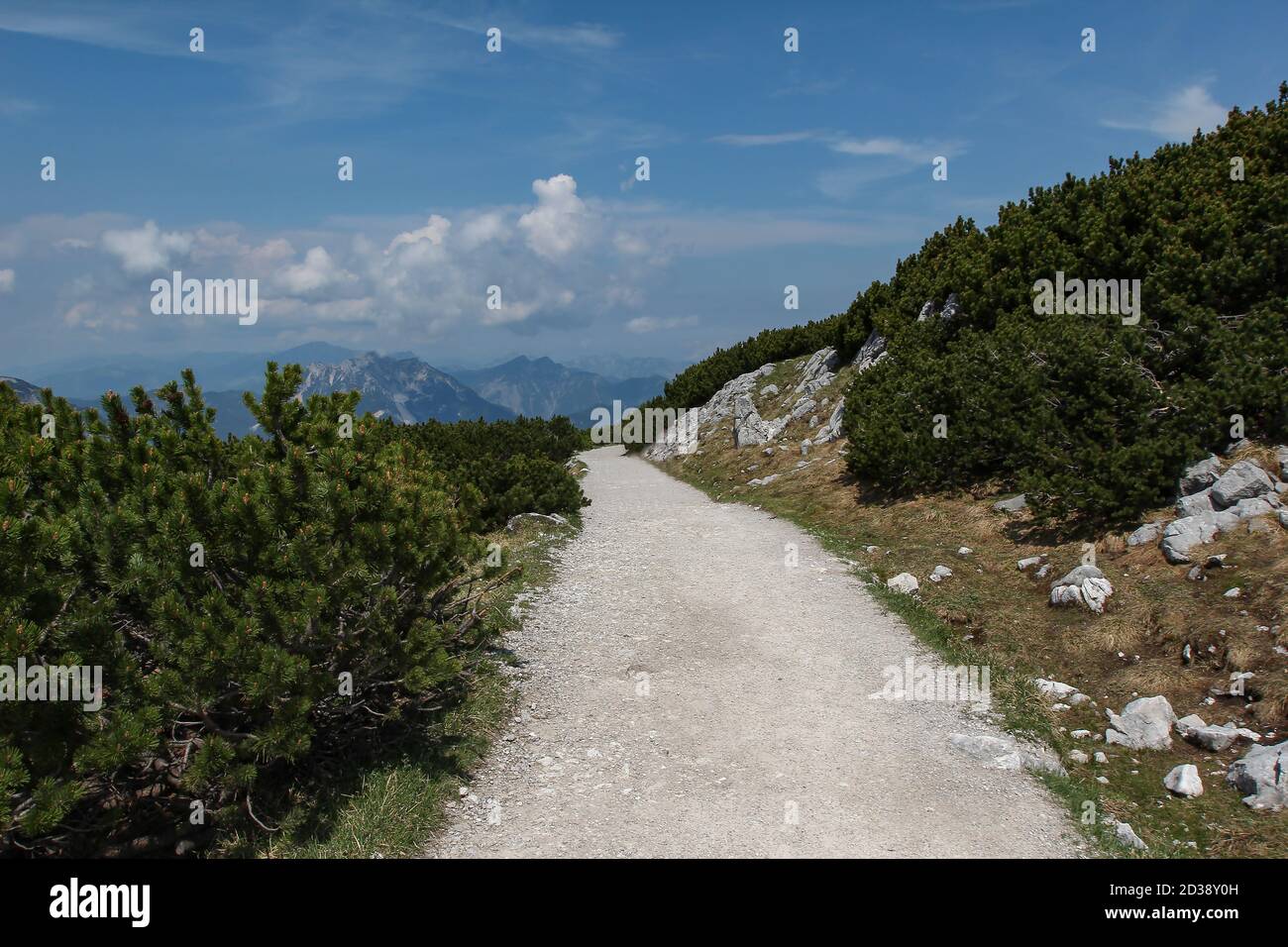 Path Leading In Beautiful shot footpath leading hi-res stock photography and images - Alamy