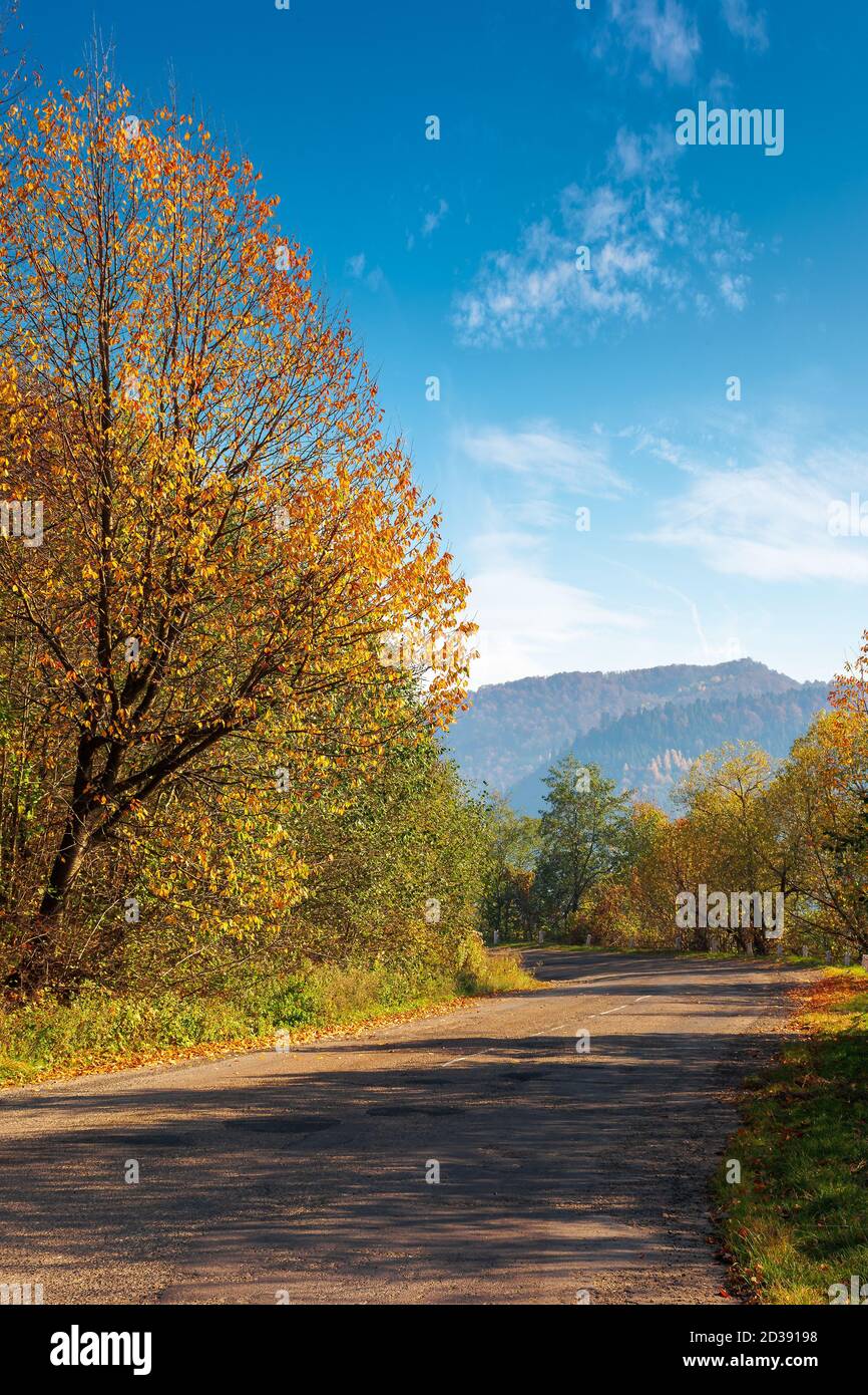 old asphalt road in mountains. beautiful autumn scenery on a sunny day. trees in colorful foliage. countryside journey on a weekend concept Stock Photo