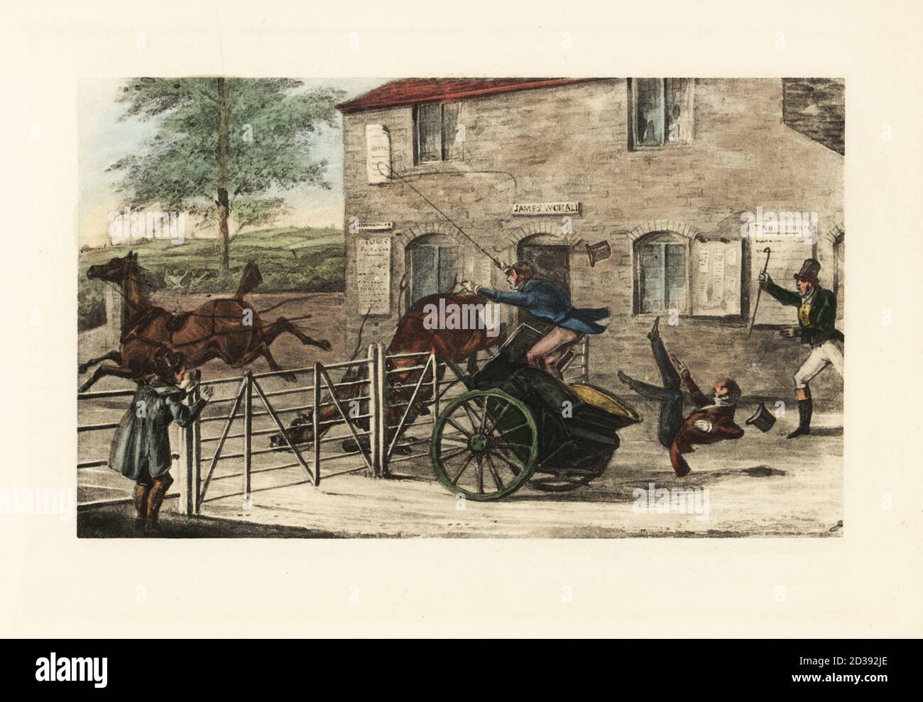 English gentlemen in a two-horse gig trying to jump a toll gate. One horse straddles the turnpike gate, while a passenger falls out the back of the coach. An angry man shakes his stick at the riders. I wonder whether he is a good timber jumper! Chromolithographic facsimile of an illustration by Henry Thomas Alken from Memoirs of the Life of the Late John Mytton by Nimrod aka Charles James Apperley, Kegan Paul, London, 1900. Stock Photo