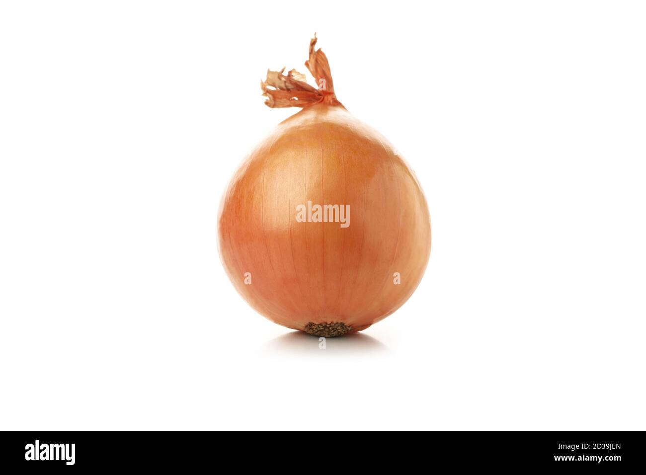 Raw fresh onion isolated on white background Stock Photo