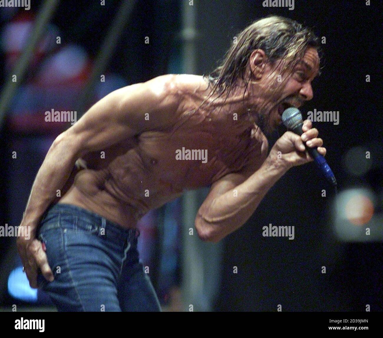 U.S. pop star Iggy Pop performs during Budapest's one-week,  around-the-clock Youth Island festival on a Danube island on August 2,  2002. One of Europe's largest open-air festivals usually draws crowds of  around