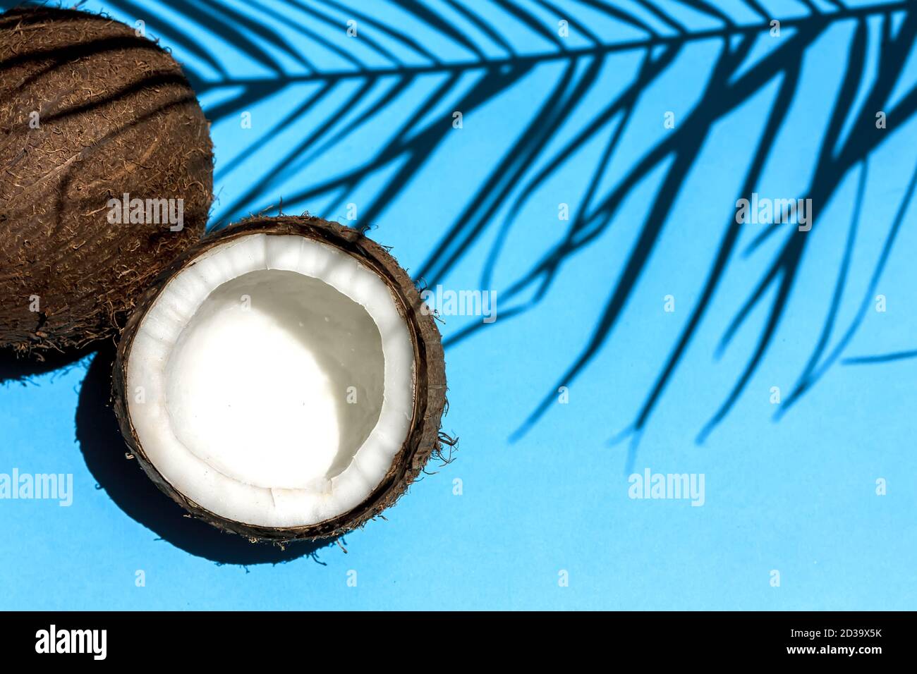 Ripe coconut on blue background with coconut tropical palm leaf shadow. Healthy stile life, food and summer holiday concept. Space for text. Stock Photo