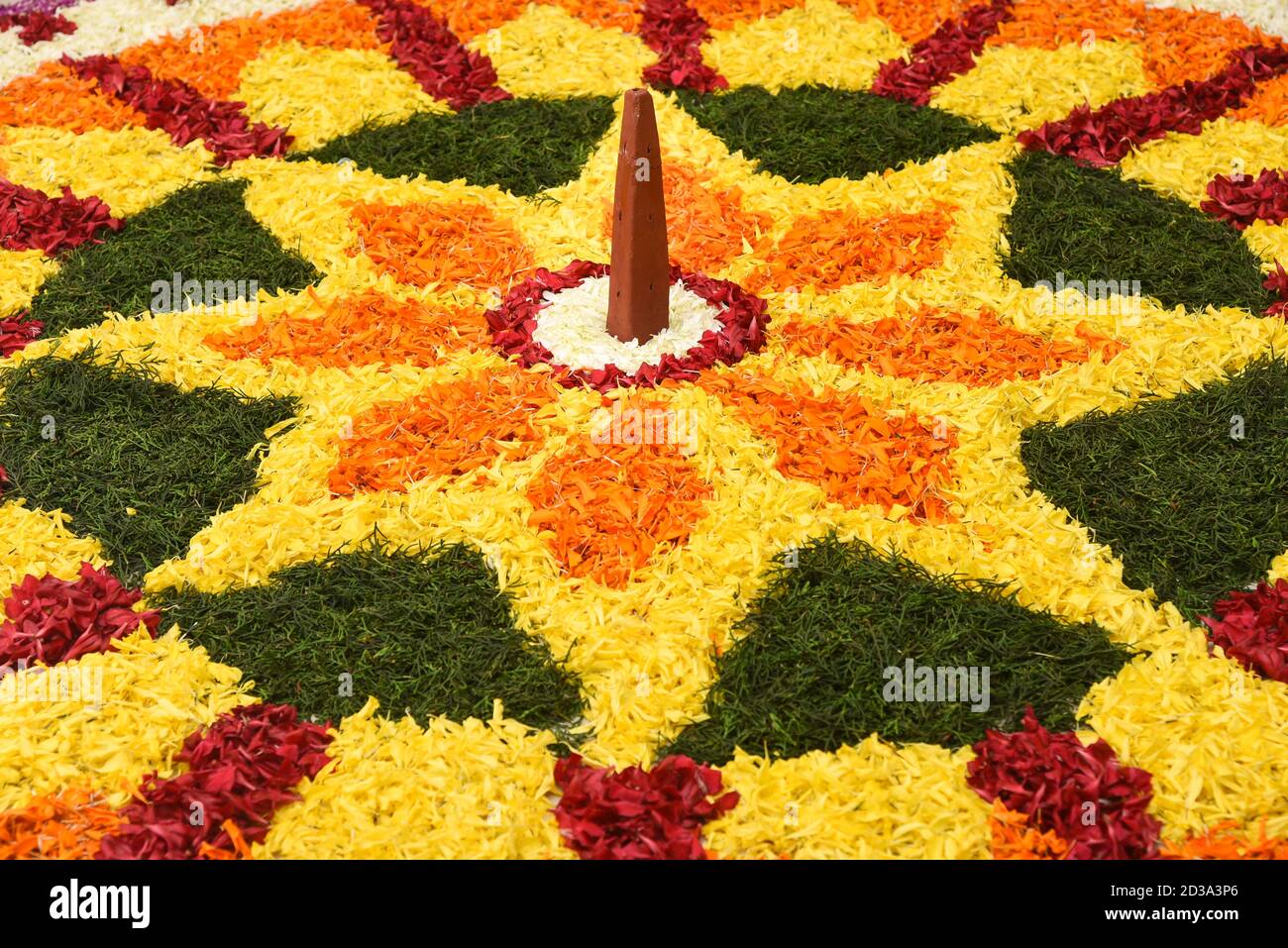Kerala Onam festival, Indian woman putting Flower bed Pookalam ...