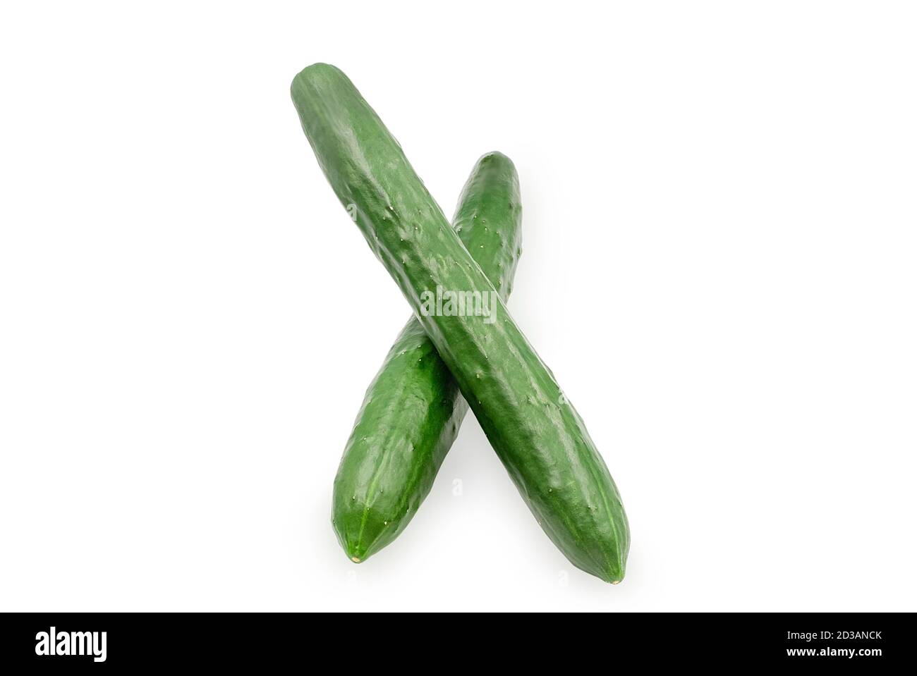 Organic green Japanese cucumber or Suhyo on white isolated background