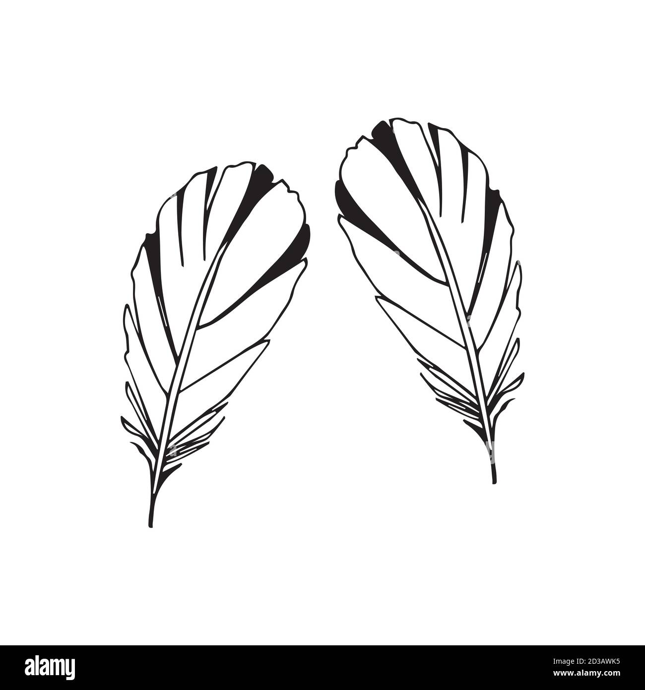 Hand drawn feathers set on white background Stock Vector Image & Art ...