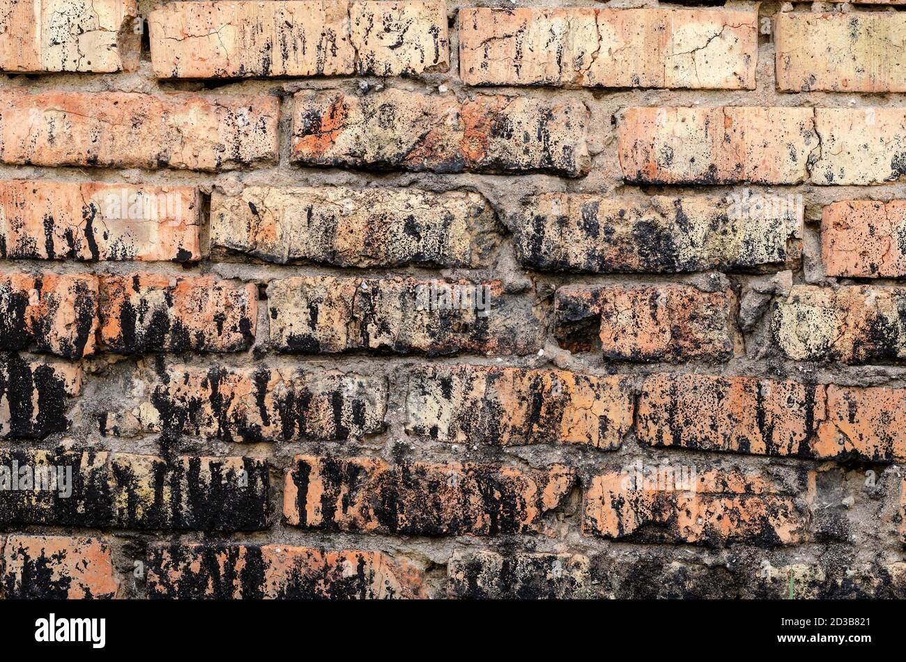 Red brick wall spattered with black resin. Multi-tasking background for various tasks. Without anyone. Stock Photo