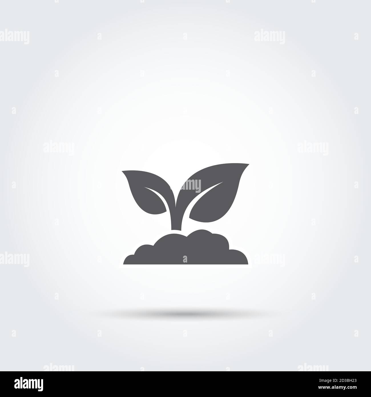 Seedling Silhouette