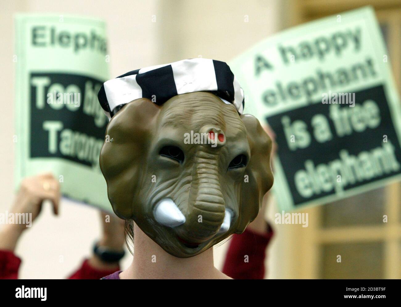 Download Elephant Mask High Resolution Stock Photography And Images Alamy PSD Mockup Templates