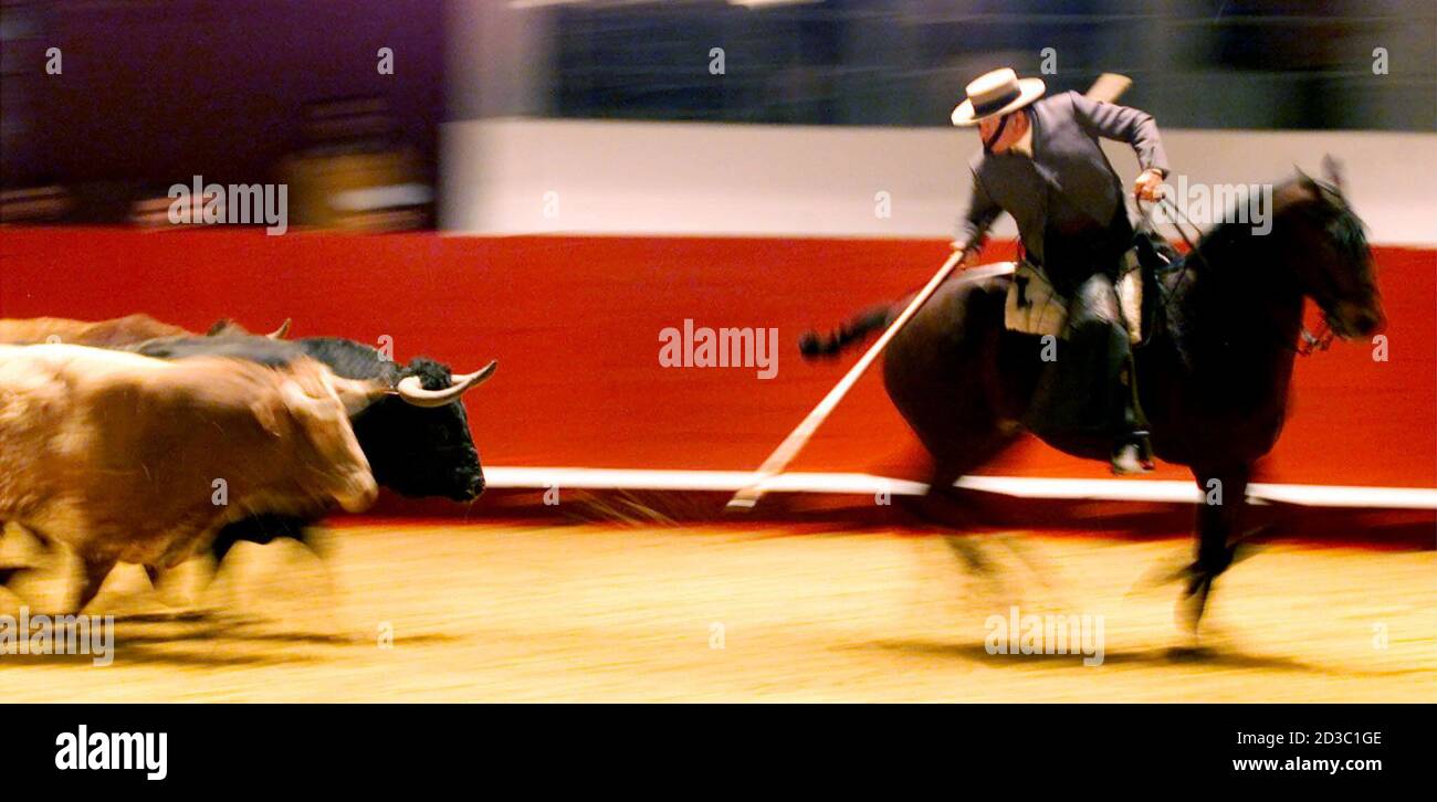 Bullfighting crisis hi-res stock photography and images - Alamy